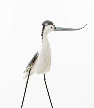 avocet